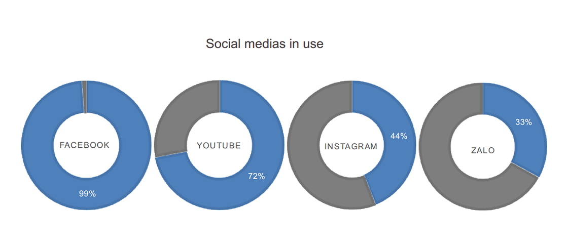 Landscape of digital marketers in Vietnam